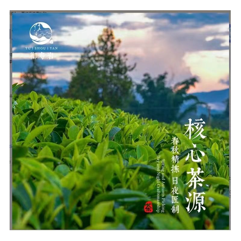 【福鼎白茶】2013白牡丹饼350g