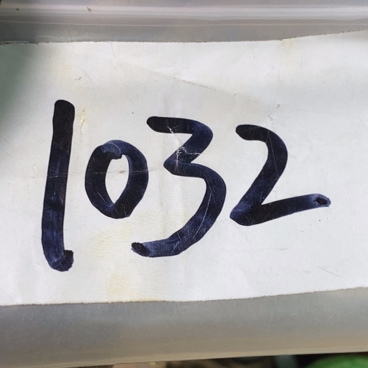 老***房娜娜文玩杂项专属链接