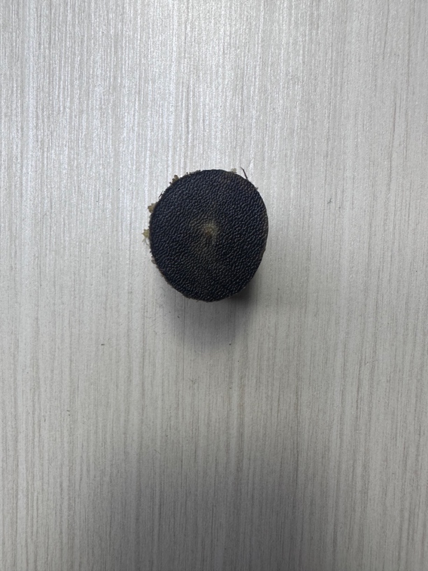 223号特色工艺品把件木