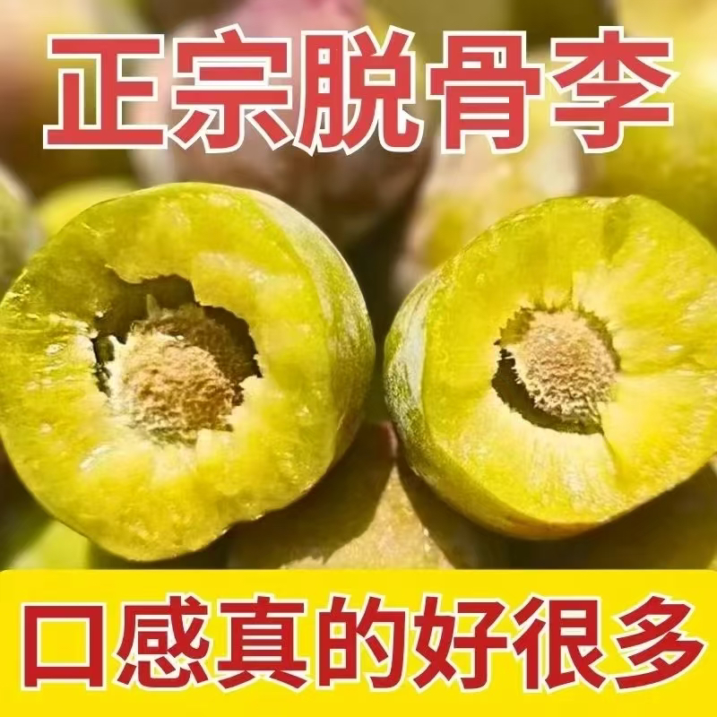 四川正宗脱骨半边红李子新鲜现摘脆甜多汁当季水果