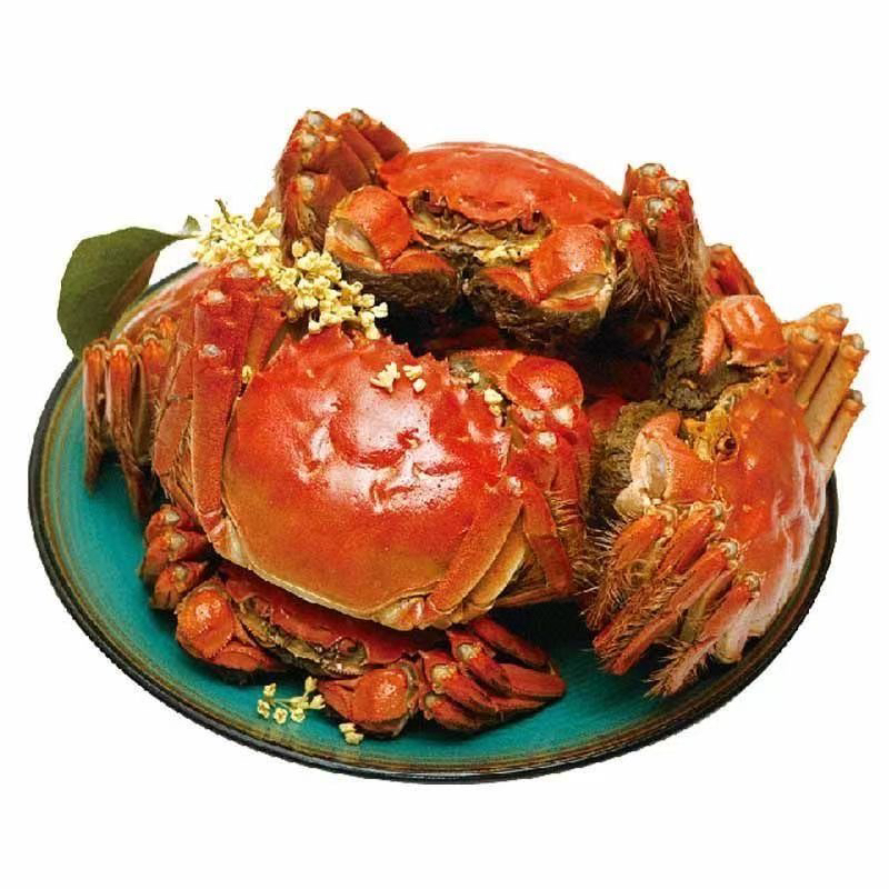 【活蟹】江苏大闸蟹 公蟹3斤（3两10只左右）