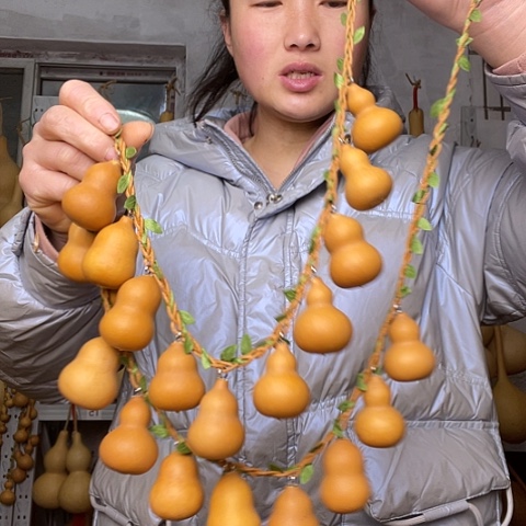 家****)天然植物葫芦文玩