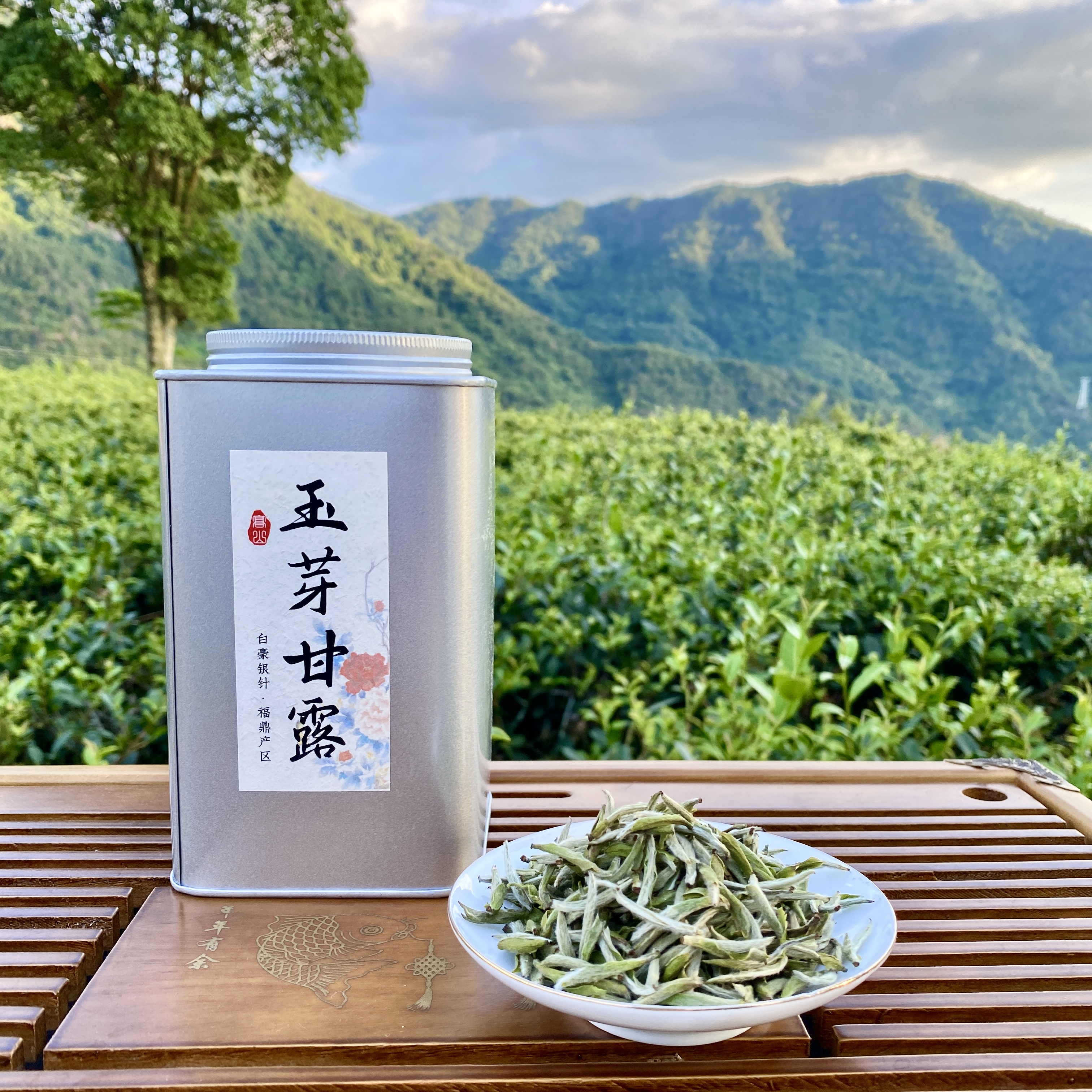 【玉芽甘露】福鼎白毫银针2025新茶头春花香毫香清爽鲜甜白茶茶叶 
