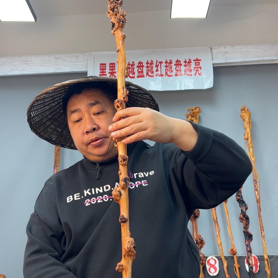 黑果木其他黑果木244