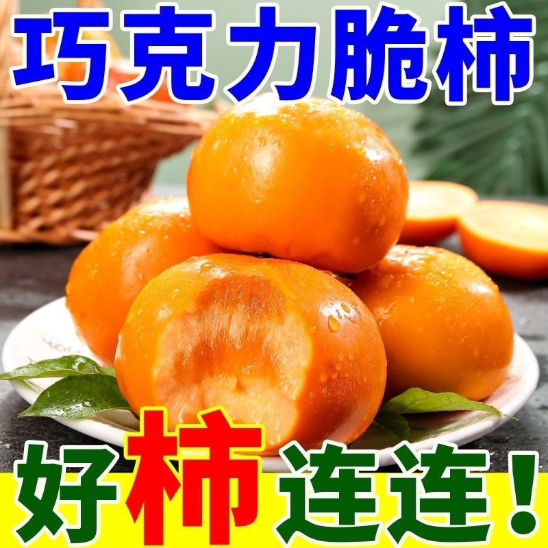 正宗阳丰巧克力脆柿子脆甜应季新鲜水果冰糖心甜柿脆柿子