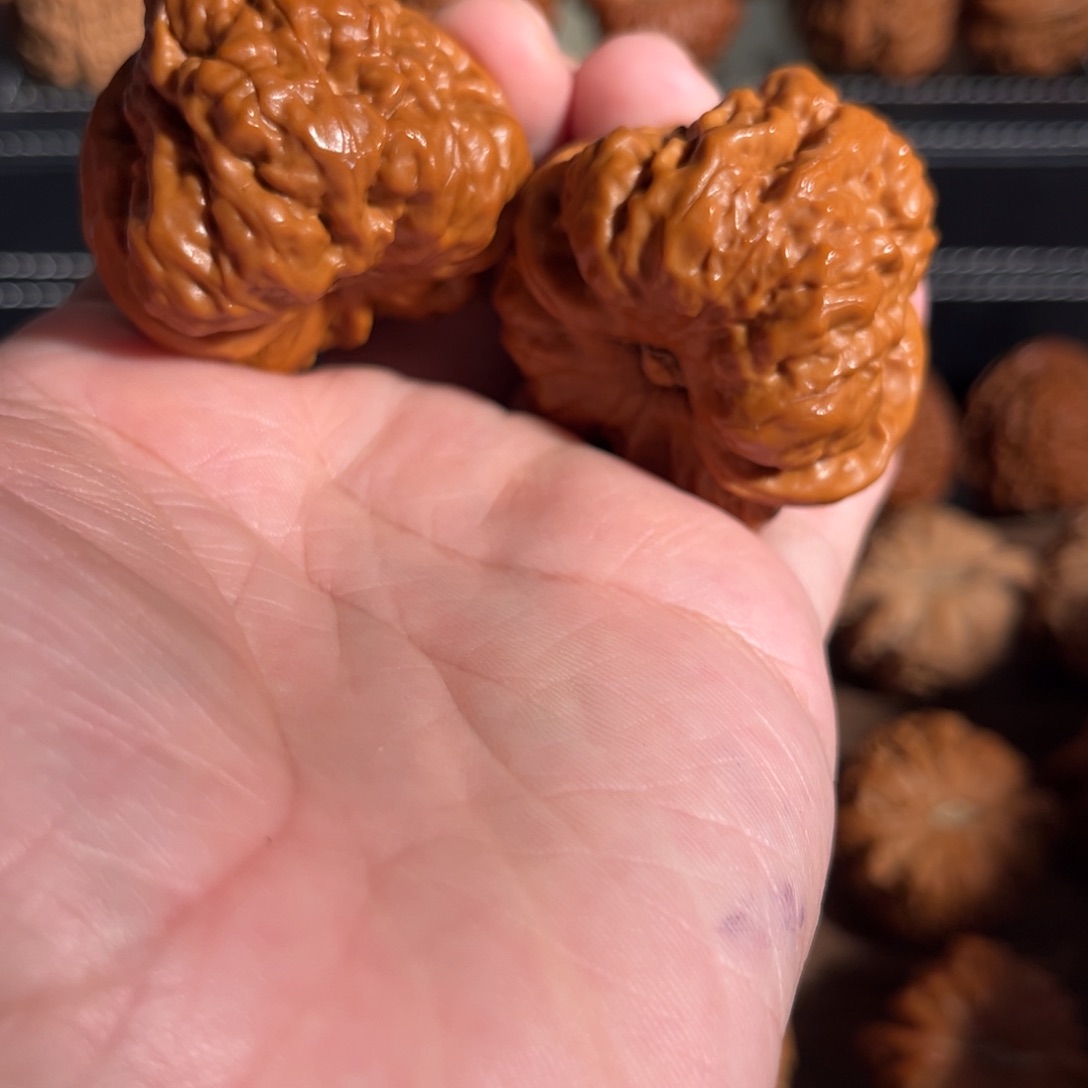 手串/手链核桃边43肚46克重48全品毕业蛤蟆