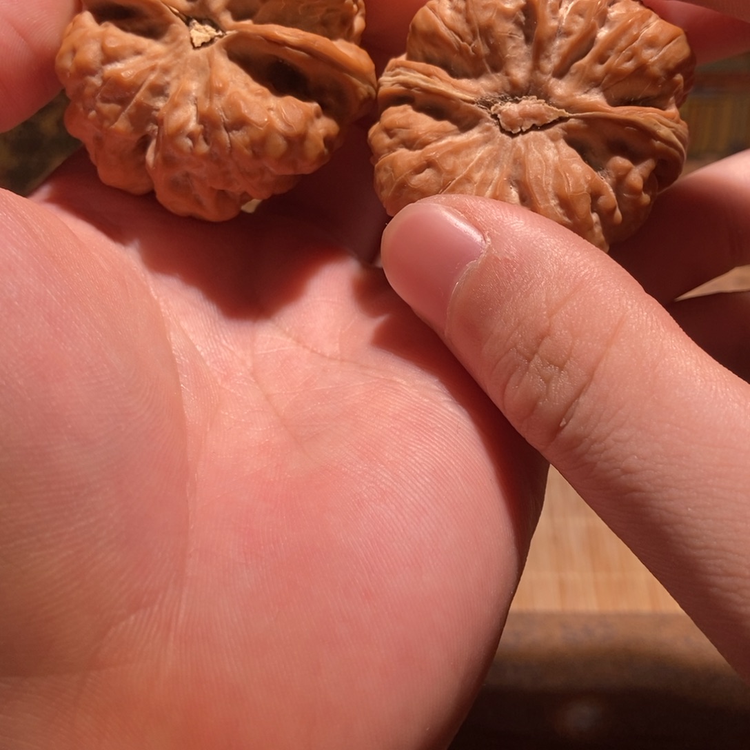 途***中吊坠文玩核桃蛤蟆头D31