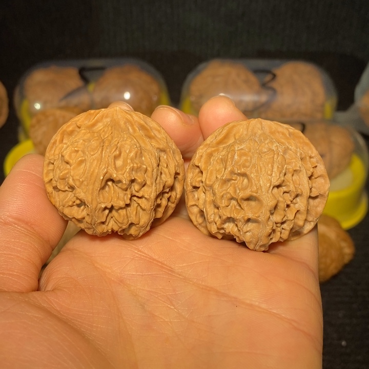 苹果园狮子头40尺新春福利