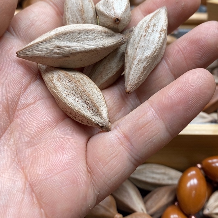 吊坠橄榄核小****雕