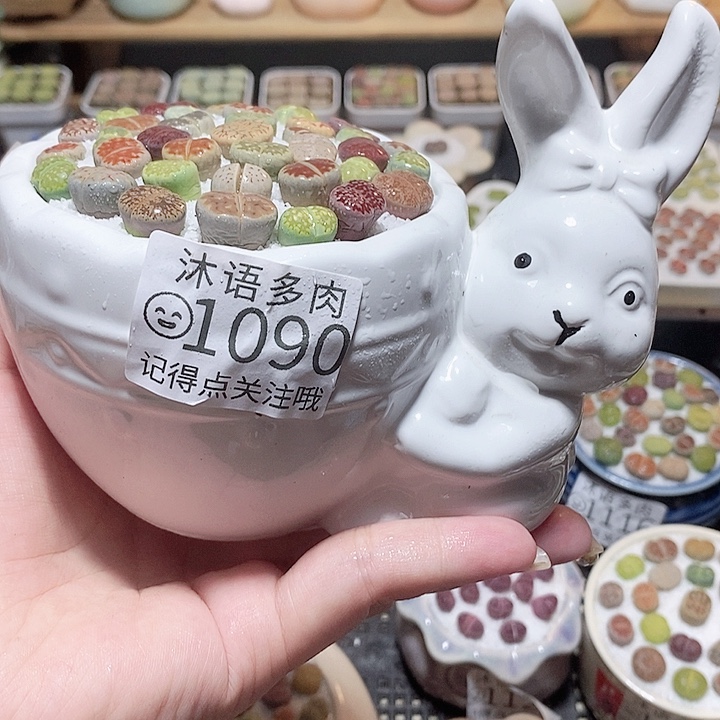 一物一拍 所见即所得1090
