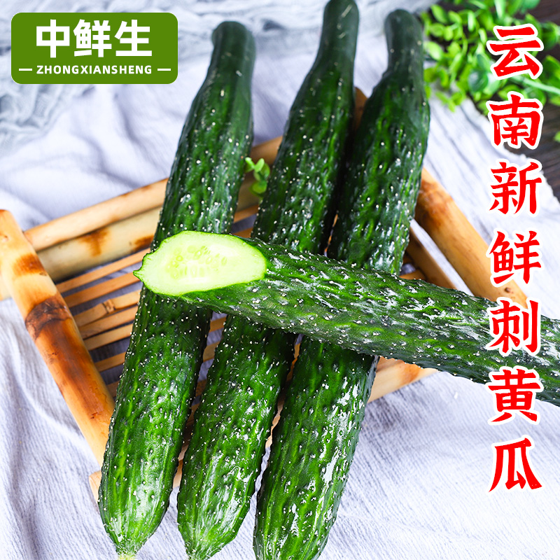 云南新鲜刺黄瓜嫩黄瓜青瓜水果黄瓜蔬菜农家自种