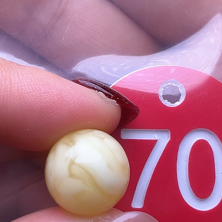 蜜蜡裸石未镶嵌@**贵13.5m m