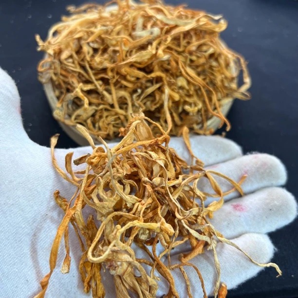 虫草花 煲汤煮水【虾干福利】