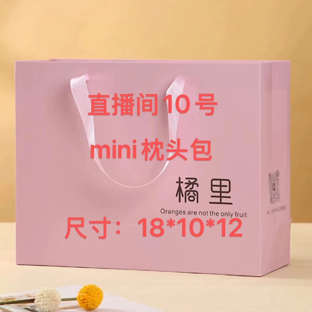 YA【10号】2025新款百搭时尚女包  mini枕头边