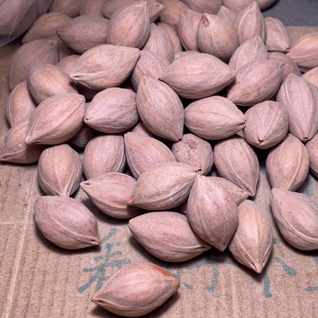 ～****橄榄核手串/手链不退不换wer