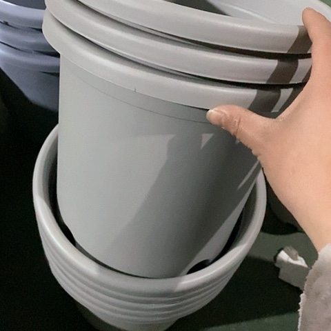 树脂微瑕4号8个无托灰白