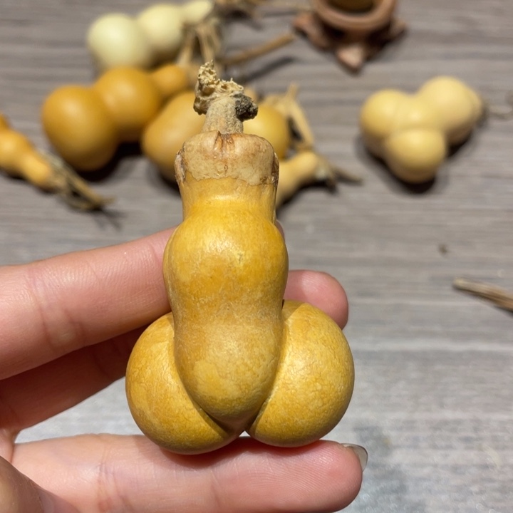 孤***柔葫芦葫芦葫芦葫芦