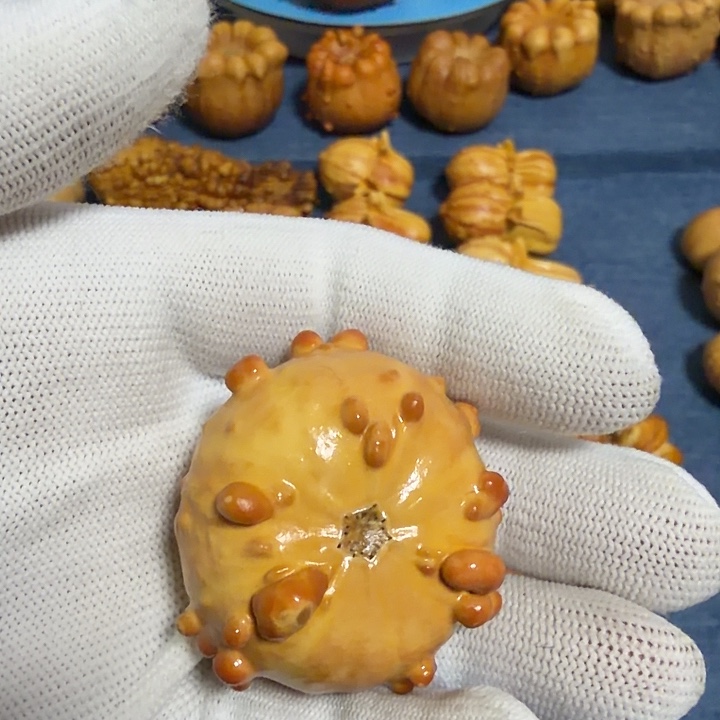 逍***遥墨西哥七彩疙瘩葫芦