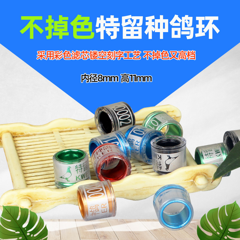 信鸽种鸽晚生鸽信鸽足环