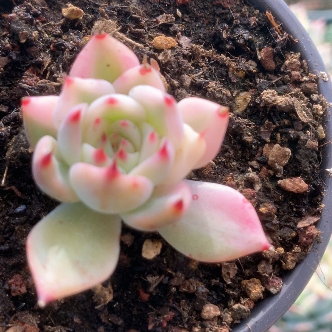 159锦锦锦锦锦锦锦锦锦