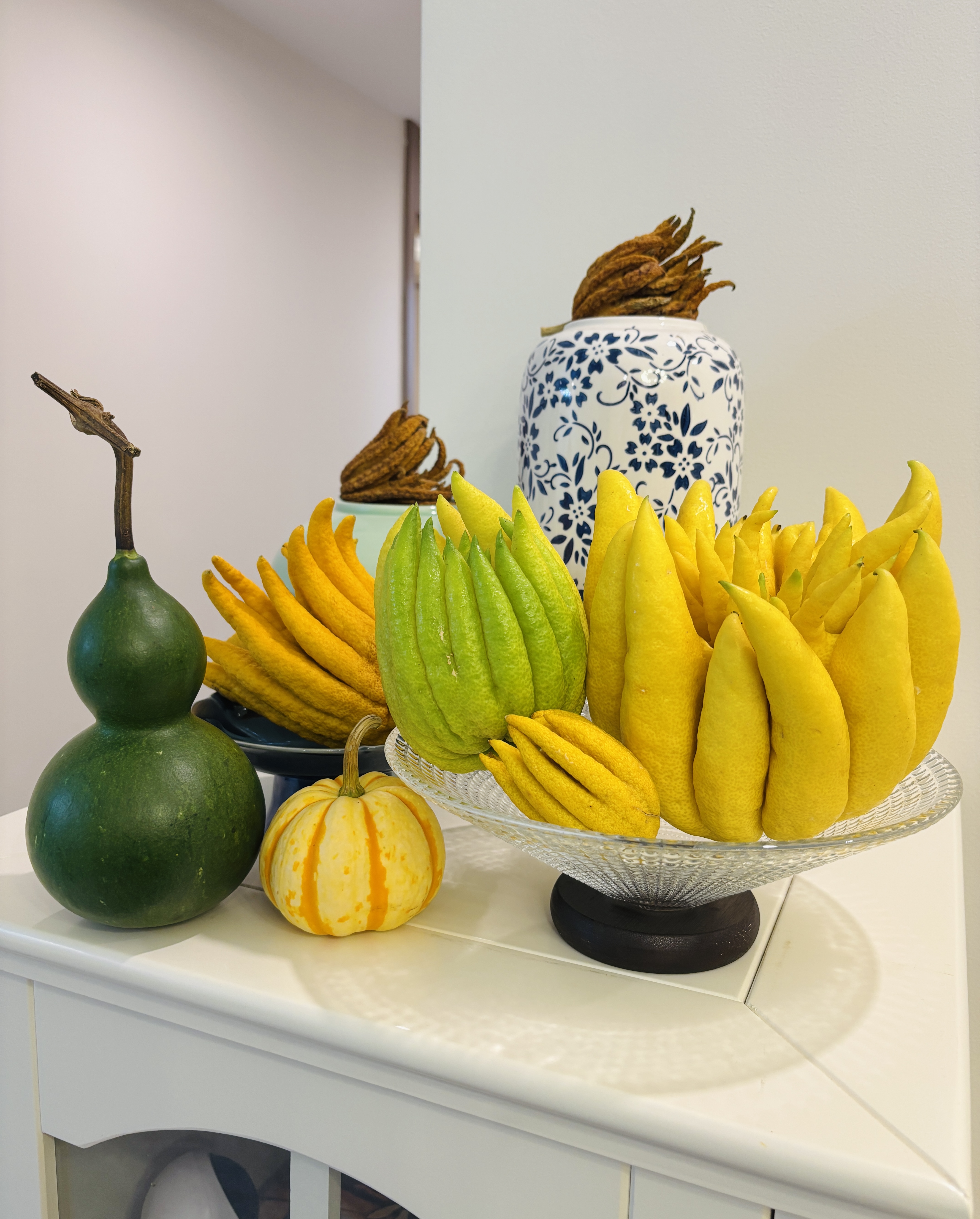 典藏果【大姐夫云南佛手】基地直采直发高端花材观赏闻香8A