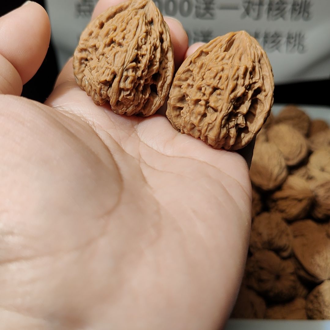 C****南疆石狮子头一物一图