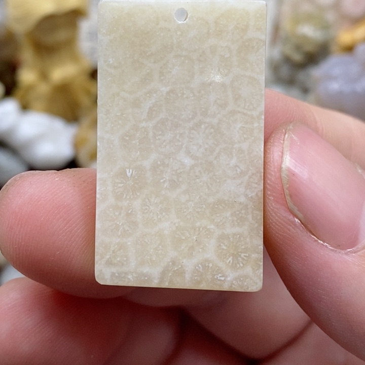 颈饰未镶嵌硅化珊瑚（珊瑚玉）小