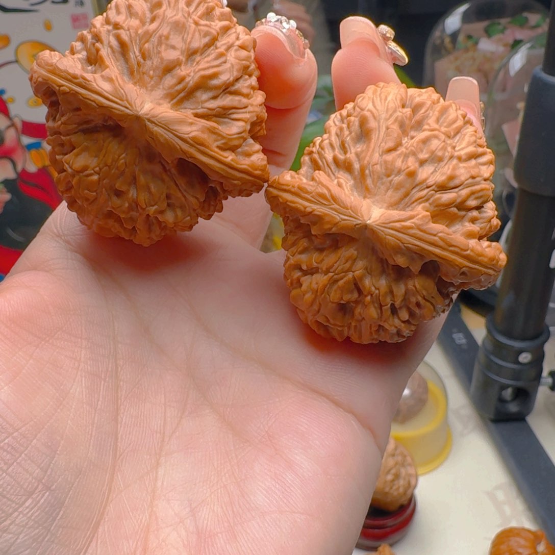 核桃把件海*星43尺寸白狮子