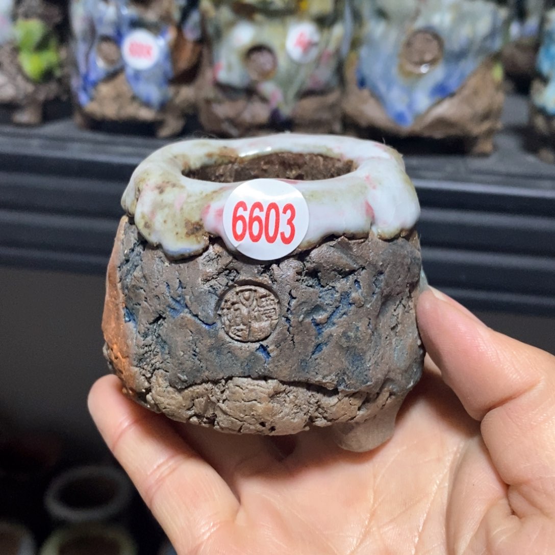 红陶拍3送一个小