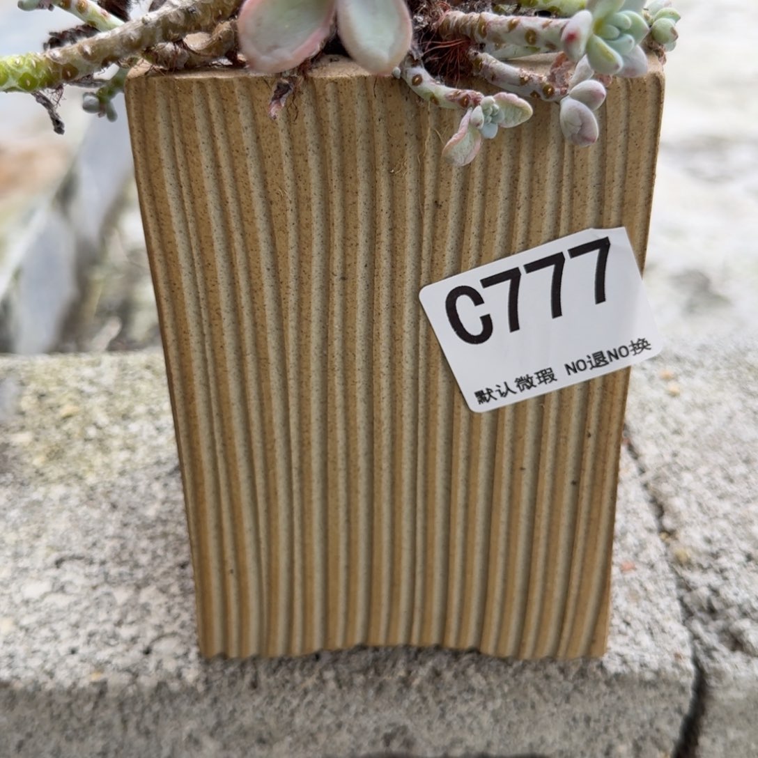 重庆小燕子欢迎大家777