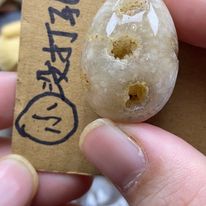 硅化珊瑚（珊瑚玉）未镶嵌颈饰有瑕