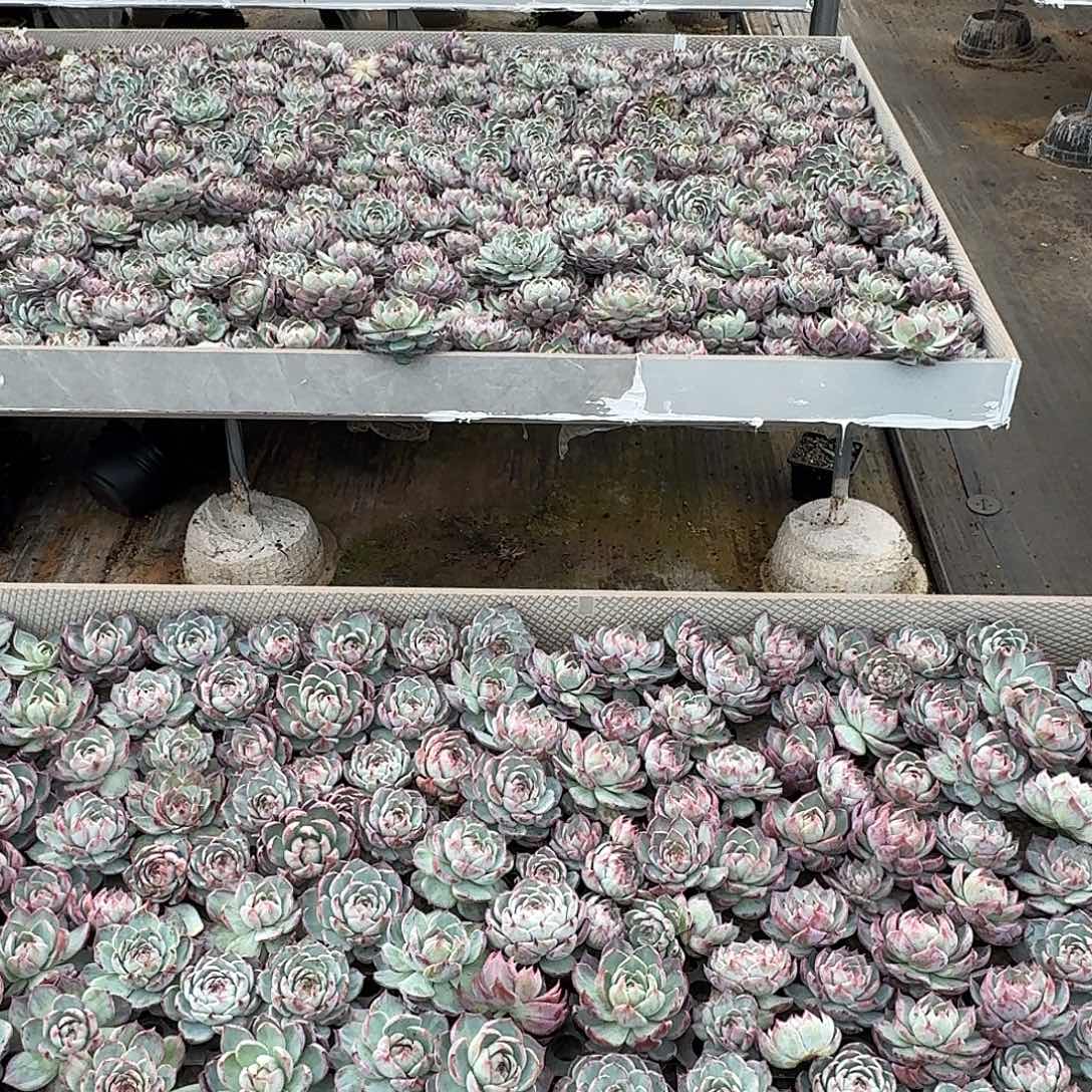 这些东西你就不用了你
