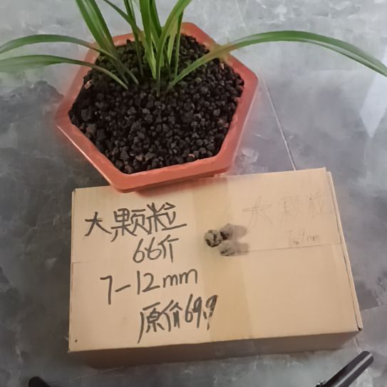 奇***草兰菌黑山土大颗粒6.6斤