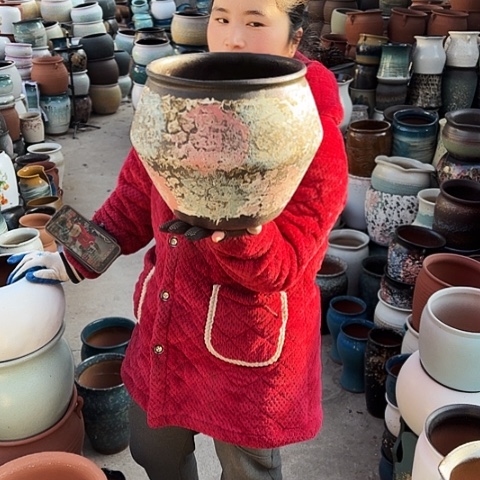 24口24高盆子盆子 