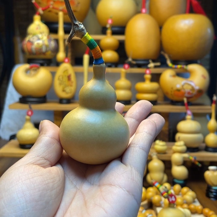 行***乐天然葫芦自然生长