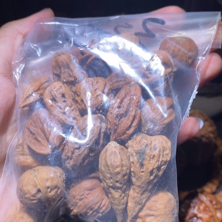 把件文玩核桃东北野生楸子小园204