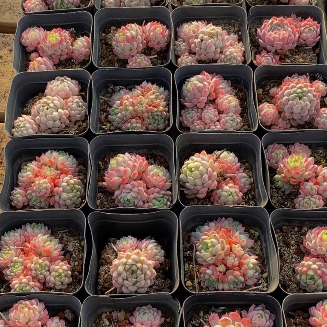 363多人在一起的时候就