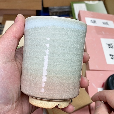 紫砂哈哈哈哈哈哈哈哈