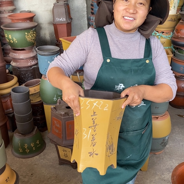 紫砂花盆盆栽花卉苗木种植