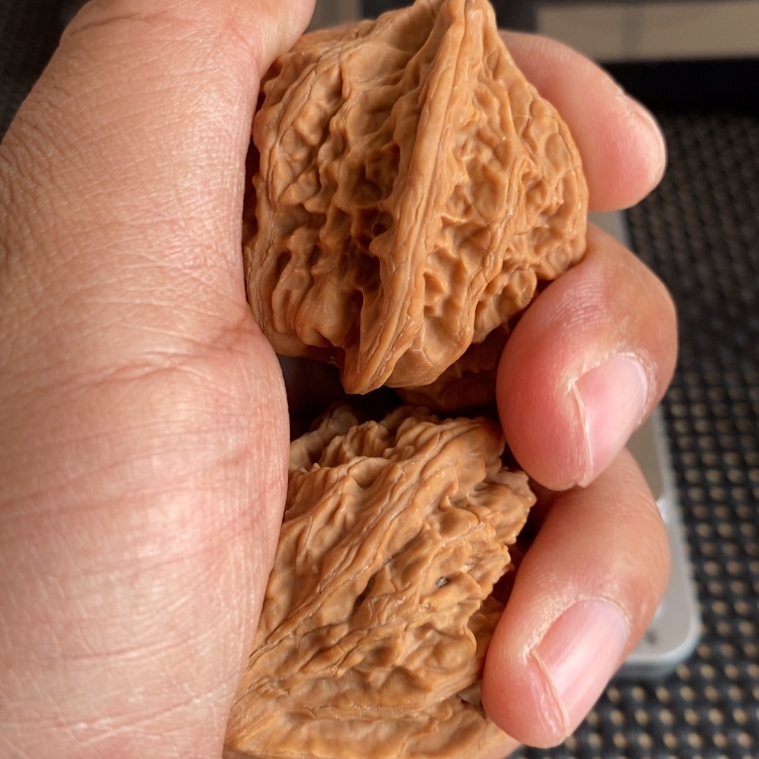 弥***亚大叶紫檀（黑酸枝木类）马蹄