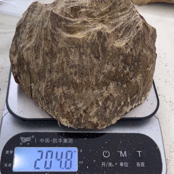 沉香沉香木制品海南黄油格204克