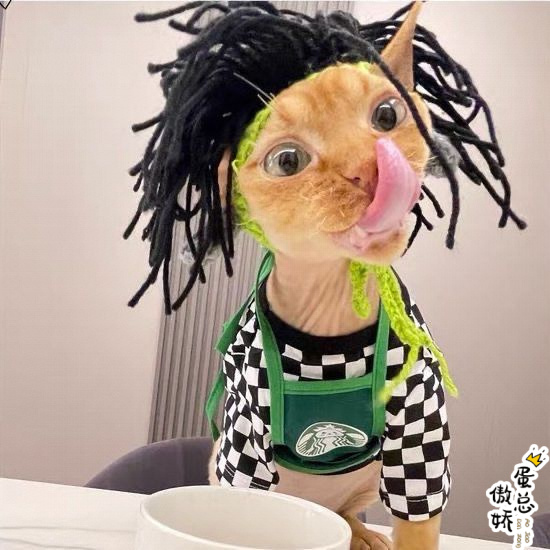 朋克风搞怪猫咪帽子无毛猫斯芬克斯猫咪头套狗狗摇滚变装可爱宠物