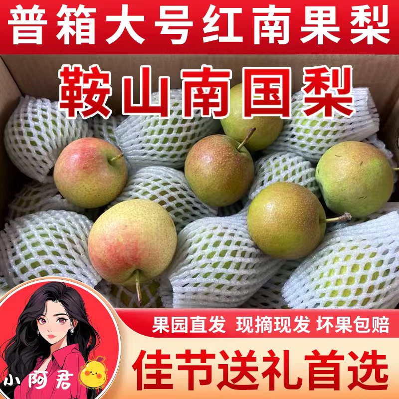 普箱大号红南果梨