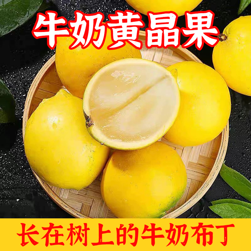 【顺丰包邮】广东牛奶黄晶果甜蜜多汁新鲜美味优质好吃皮薄清甜新鲜