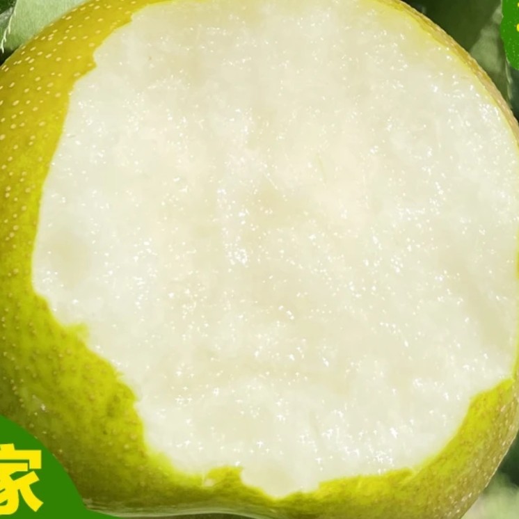 灌阳梨子清甜可口，夏天解渴神器