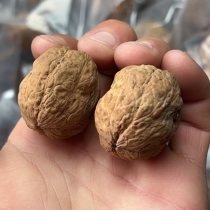 文玩核桃把件4号箭毒蛙38尺