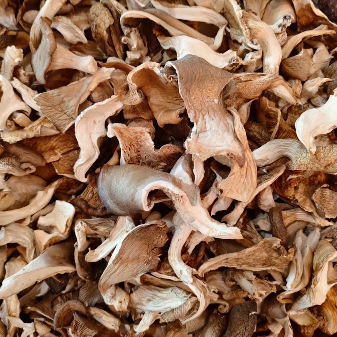 湖南平菇干货营养丰富可用于炖肉煲汤炒菜的养生食材