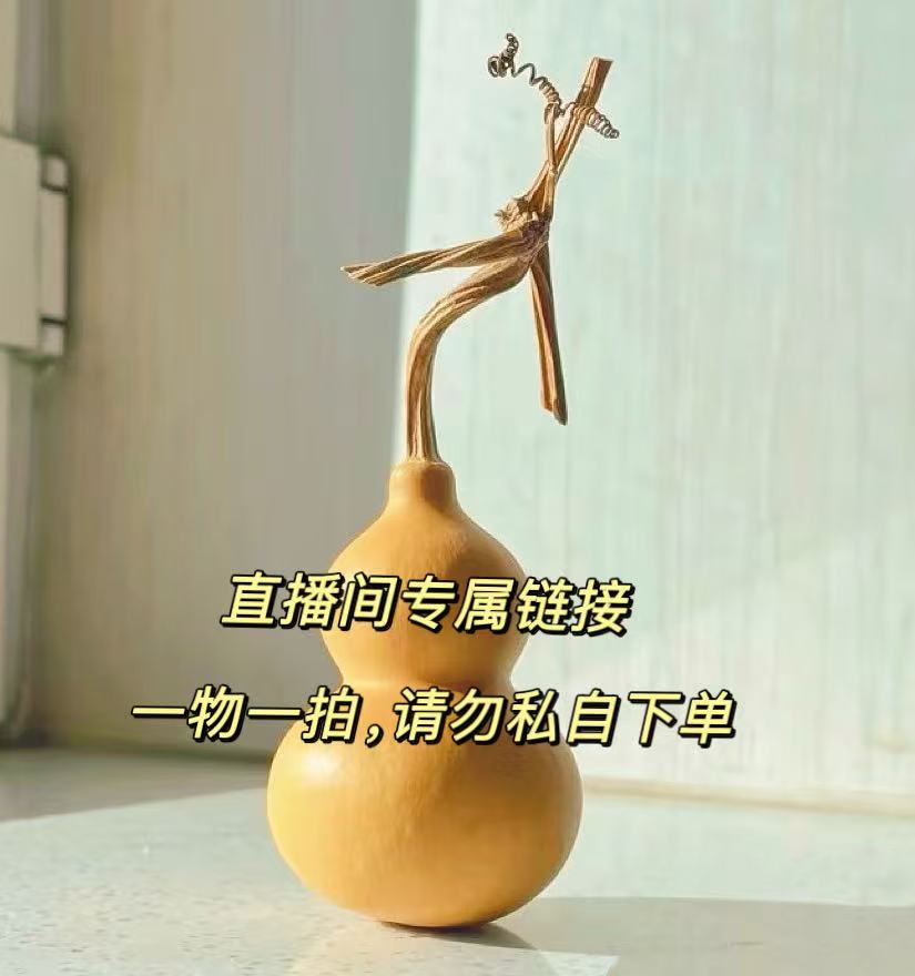葫芦手把件 盘玩 一物一拍链接 葫芦直播专用 请勿私自下单