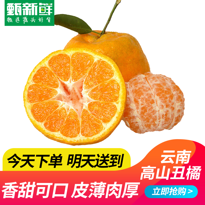 【京东次日达】云南高山丑橘2.5KG装乌市直发-产自云南省