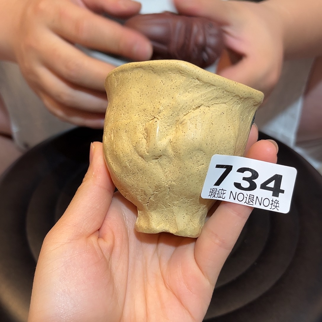 茶壶紫砂紫砂主人杯